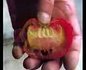 1 - Miracles of Islam Allah