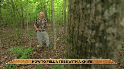 Total Outdoorsman: How to Fell a Tree with a Knife