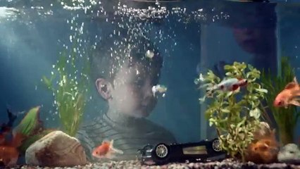 Heinz Beans - haricots cuisinés, "Little brother" - août 2013