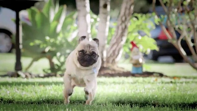 Doritos (PepsiCo) - apéritifs - février 2011 - Pug attack