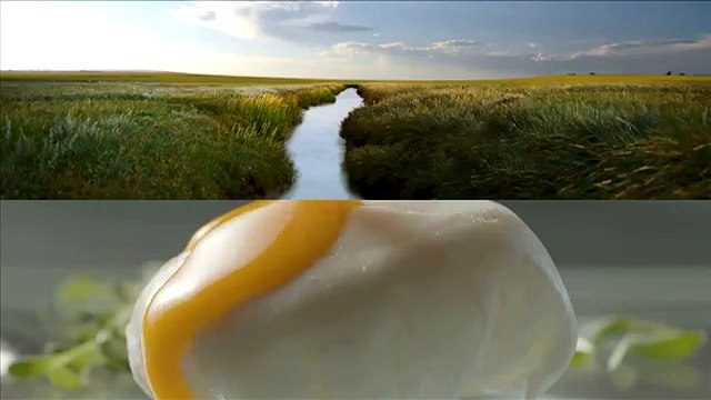 Dufresne Corrigan Scarlett pour Matines - oeufs, Pour les bons oeufs, il y a Matines - avril 2014