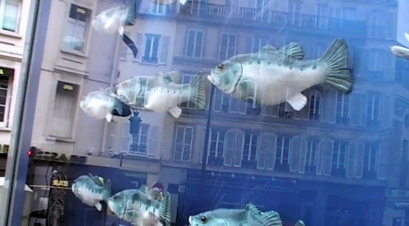 Findus - poissons surgelés - mai 2010 - "Singing Fish"