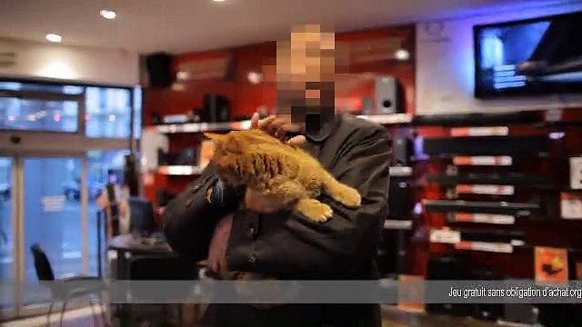 Friskies - nourriture pour chiens et chats - janvier 2011 - Maxi Croquette , Ponpon le chat roux