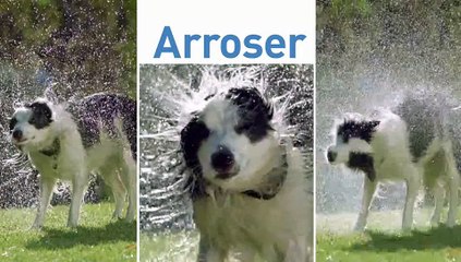 Jardiland - produits de jardinage, "Création et Récréation" - mars 2013 - arroser