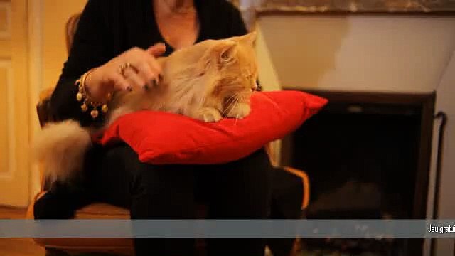 Friskies - nourriture pour chiens et chats - janvier 2011 - Maxi Croquette , Poupette le chat angora