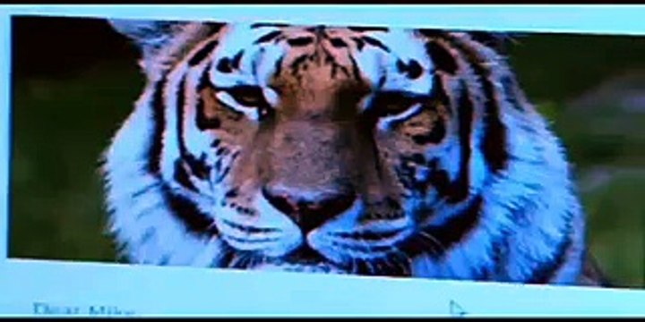 Foster's (Sabmiller) - bière, The Art of Chilling, Online Hero , Masterchef , Employee of the Month - janvier 2013 - hero on line