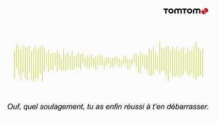 DDB Tribal Worldwide pour Tom Tom - gps, «Des trajets plus rapides, c'est toujours utile» - juin 2014 - copine