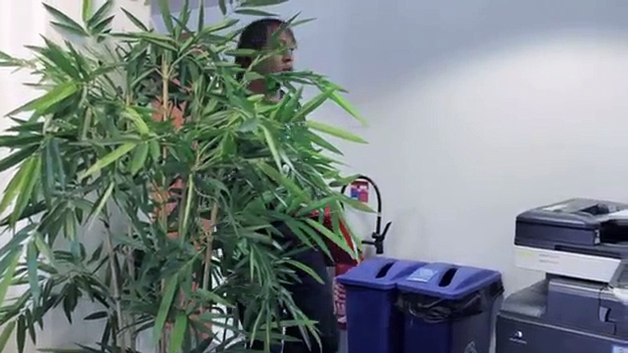 Eurostar - compagnie ferroviaire, "Air Sports by Eurostar" - mai 2012 - JR courants 1min