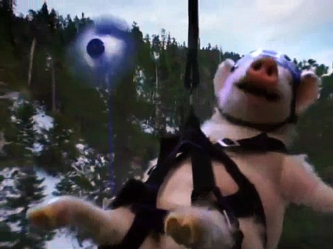 Geico - assurance automobile, Zip line - janvier 2012