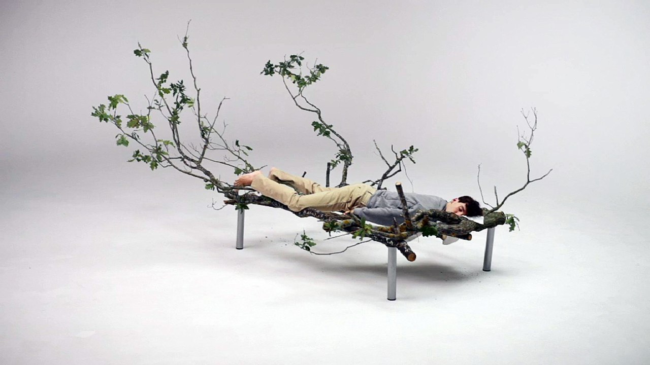 Dunlopillo - matelas écologique, "Meilleur pour votre confort, meilleur avec la nature" - octobre 2012 - branches