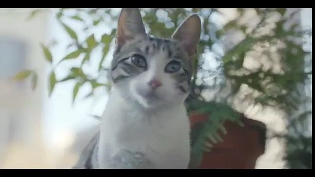 ING Direct - banque en ligne, Améliorons la banque - janvier 2013 - Le chat