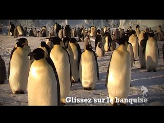 France Soir - journal - avril 2010 - "Le meilleur CDD du monde", "Le reportour", www.reportour.com