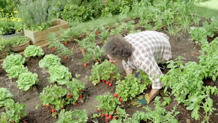 Gamm Vert - produits de jardinage, "Le goût du jardin" - mars 2013
