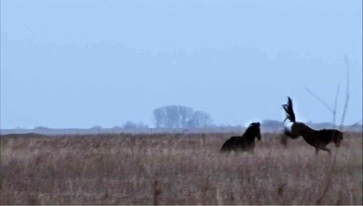 Equidia - chaînes de télévision, "Equidia Live et Equidia Life" - septembre 2011 - "Le documentaire"