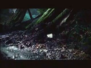 HEMISPHERE DROIT pour LES MOUSQUETAIRES INTERMARCHE