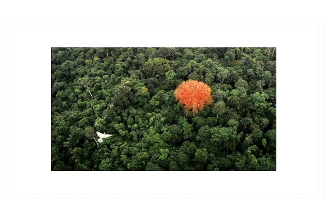 Hermès Parfums - parfum Voyage d'Hermès - avril 2010 - "Voyagedhermes.com"