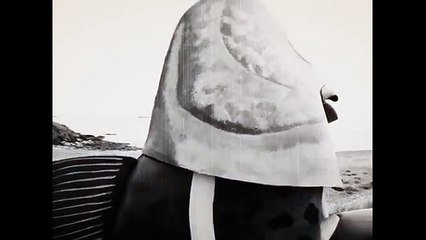 Emakina pour MSC Pêche durable - préservation de l'environnement marin, "Du poisson dans un film" - janvier 2014 - colin