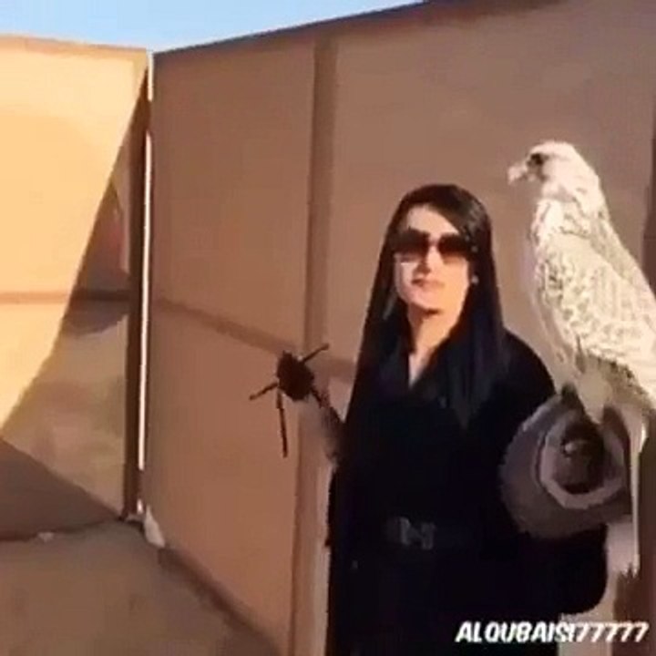 Mobile Capture ١٣‏/٠١‏/٢٠١٥