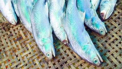 Les tendances SAVEURS 2015: le Umami, la spiruline, les antifoodistas
