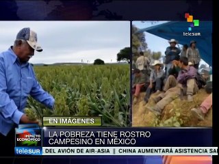 México: más de 53 millones de campesinos en situación de pobreza