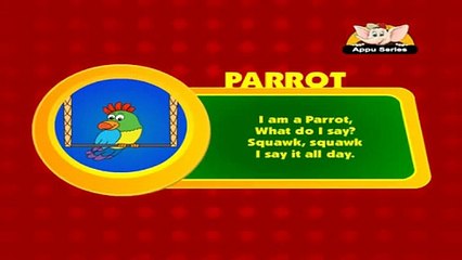 Animal Sounds - Parrot : Kids Learning Video