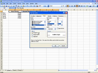 Descargar video: Ms Excel 2003 Training- Fonts and Merging (Part 27)