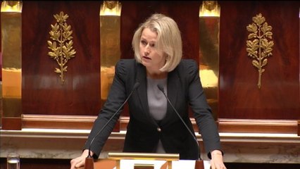 Barbara Pompili (EELV) : "Leurs victimes étaient la France"