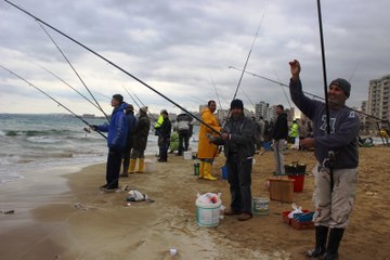 Rum Çiftliğinden Yüzlerce Ton Balık Kaçtı Türkler Peşine Düştü