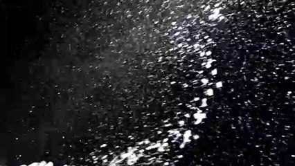 Lidl - supermarchés, "Lidl meets Vivaldi" - décembre 2011