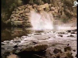 Lion Nathan - bière James Boag's draught - 2009 - "Pure Waters"