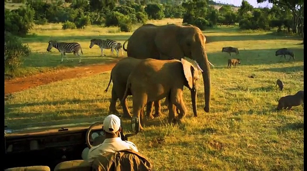 Office du Tourisme d'Afrique du Sud - tourisme, "C'est possible" - mai 2011