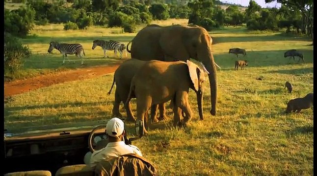 Office du Tourisme d'Afrique du Sud - tourisme, C'est possible - mai 2011