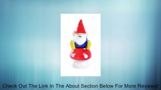 Garden Gnome on Mushroom Magnetic Salt and Pepper Shakers in Gift Box Review