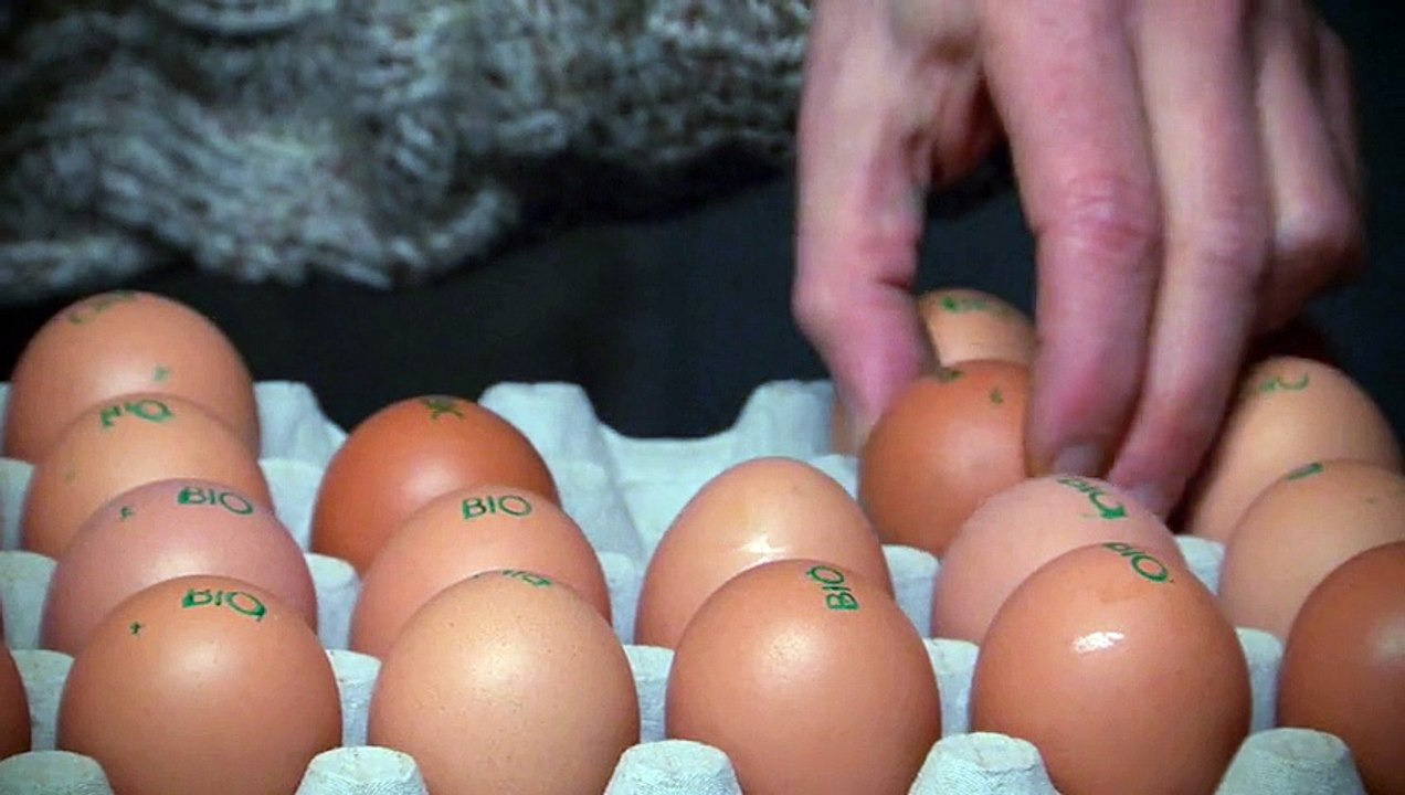 Parti Socialiste (PS) - parti politique - février 2010 - "Elections régionales", Agriculture