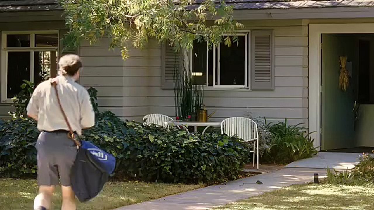 Pedigree - nourriture pour chiens - janvier 2009 - "The Pedigree adoption drive", Crazy pets