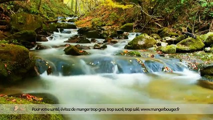 Prodimarques - grandes marques, "Les grandes marques s'engagent aujourd'hui pour demain" - juillet 2013 - nature