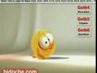 Sweety the chick