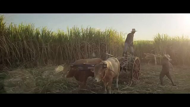 Nouveau Monde DDB Nantes pour Îles de la Guadeloupe - tourisme, «Il y en tant d'îles en elles» - octobre 2014 - 30s