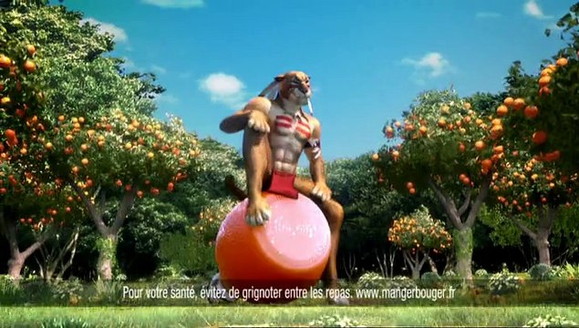 Orangina - soda - mars 2009 - Orangina Indien à la grenadine