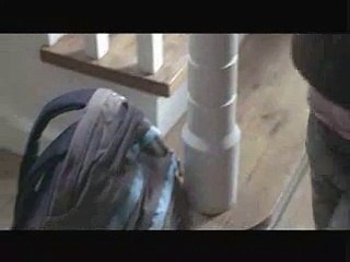 LES OUVRIERS DU PARADIS UNITED pour LOTUS