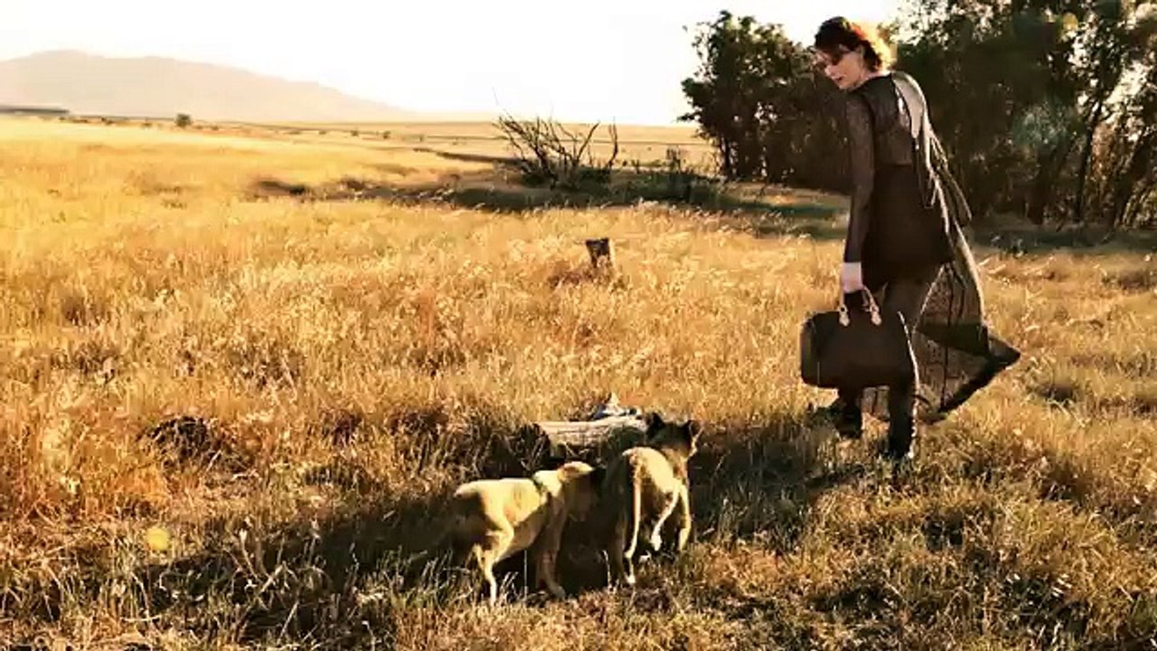 Louis Vuitton - maroquinerie, "L'âme du voyage, avec Edie Campbell, Karen Elson" - février 2014