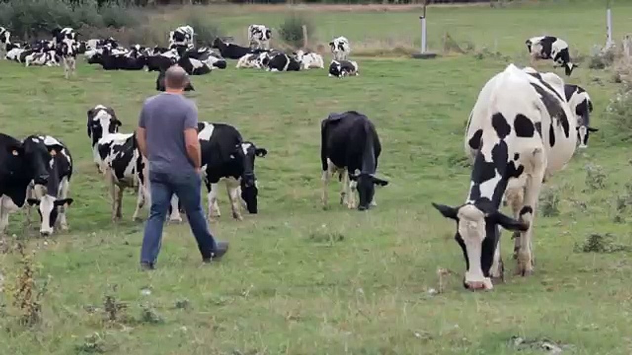 Les 2 Vaches - yaourts, "Savoir ce qu'on mange, www.savoircequonmange.com" - février 2014