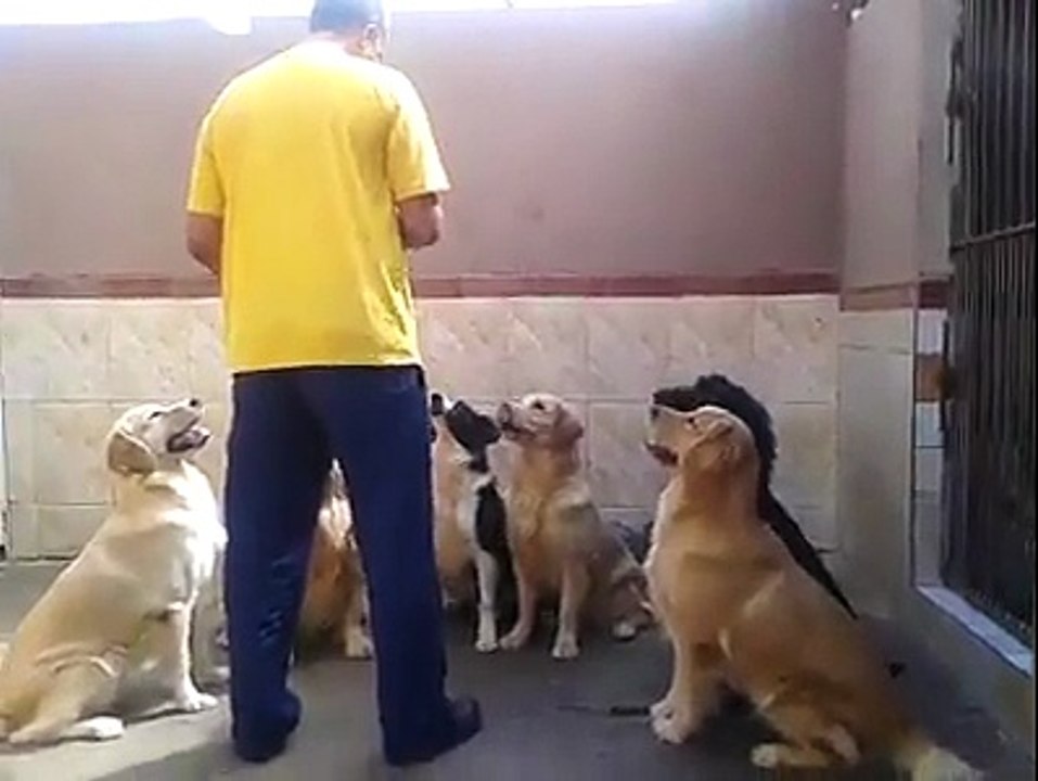Supper Exemplary