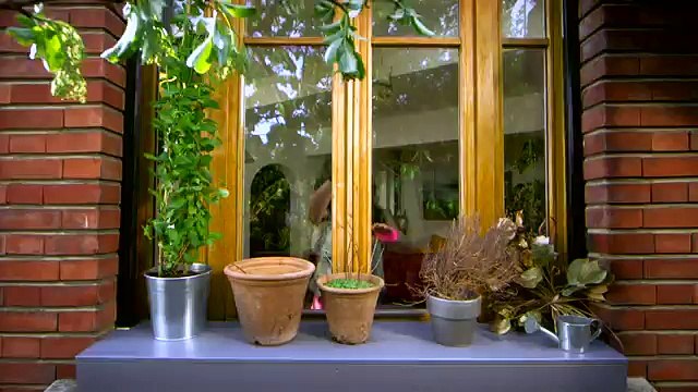 Le Petit Marseillais - shampooing et savon - juillet 2012 - Les HE4, groupe de rock, shampooing antipelliculaire