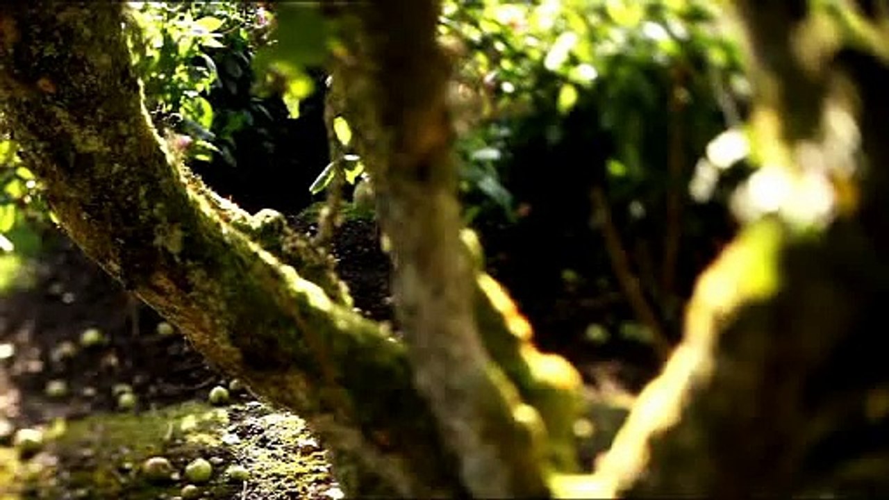 Relais & Châteaux - hôtels et restaurants - mars 2010 - "Partout dans le monde, unique au monde"