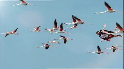 NRJ Mobile - forfait téléphonique "Ultimate" - mars 2010 - "Les Flamands"