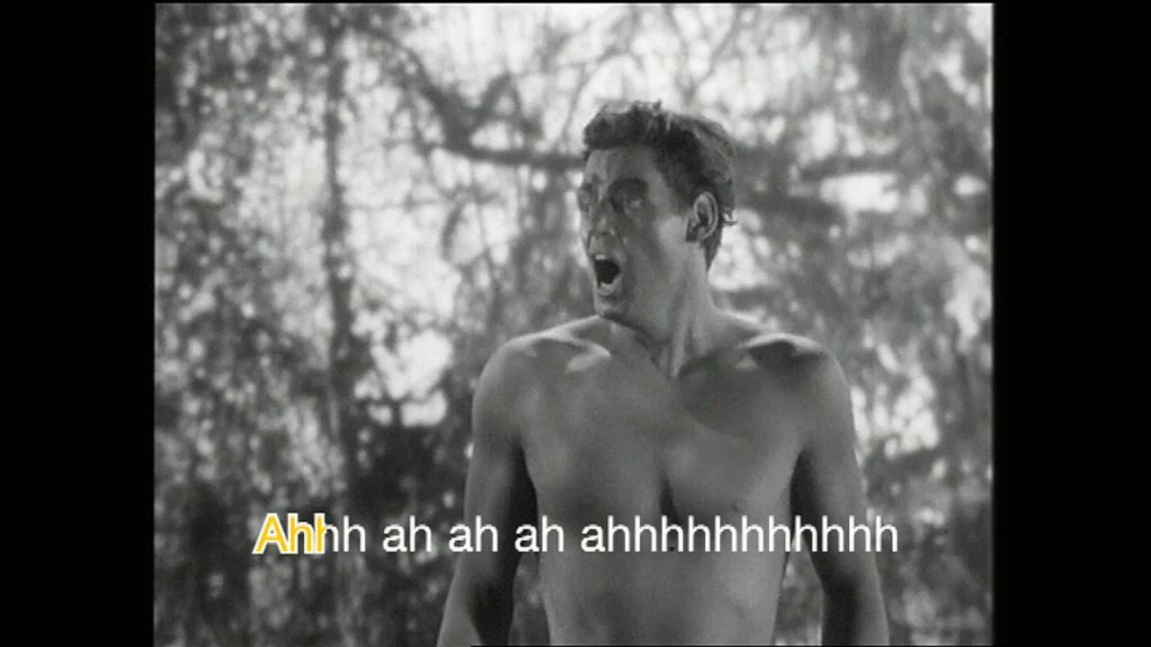 Orange cinéma séries - chaîne de télévision - 2009 - "Moi(s) Tarzan", karaoké