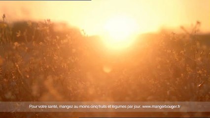 Maille - condiments, "Il n'y a que Maille qui m'aille" - mars 2011 - Moutarde Fine de Dijon