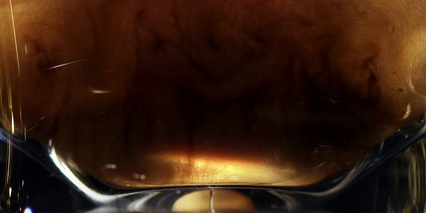 L'Or Espresso (Sara Lee coffee and tea France) - café en capsules - février 2011 - "Découvrez un espresso unique"