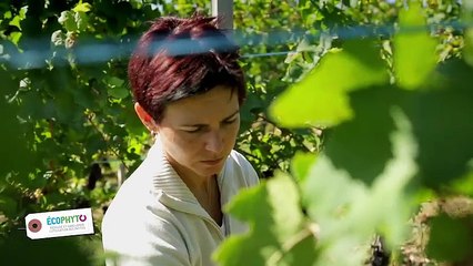 Ministère de l'agriculture - réduction des pesticides, "Plan Ecophyto" - octobre 2012 - Portrait de Christine Klein